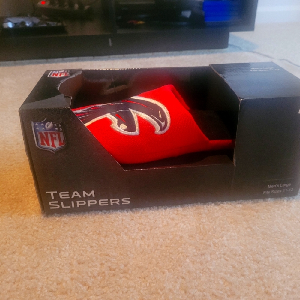 Falcons Designer House Shoes